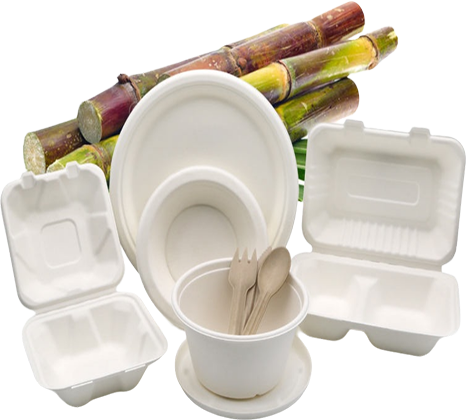 Sustainable Solutions