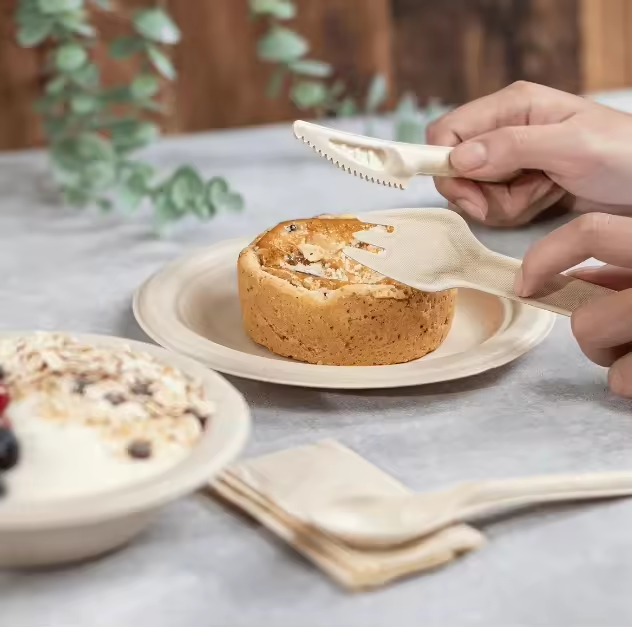 Sugarcane Cutlery Biodegradable Bagasse Knife